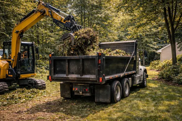 image from Tree Removal Austin in Austin, TX 